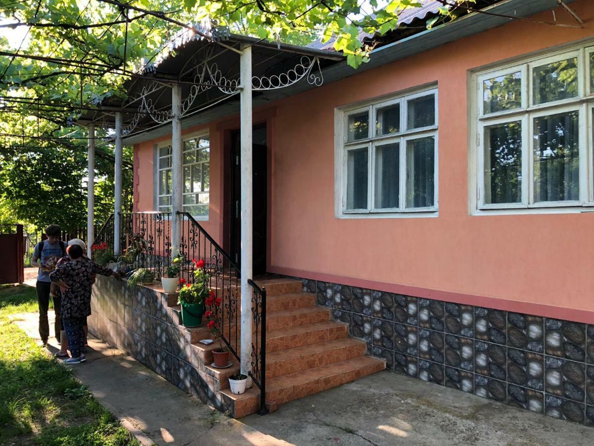 Vila Dora Japca Exterior photo