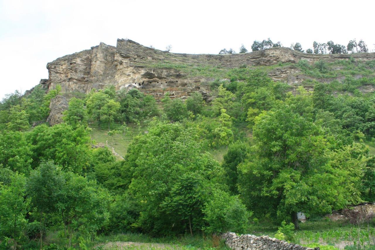 Vila Dora Japca Exterior photo